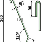 Kort striegel amazone (3756300)