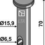 Pløk til Amazone tand